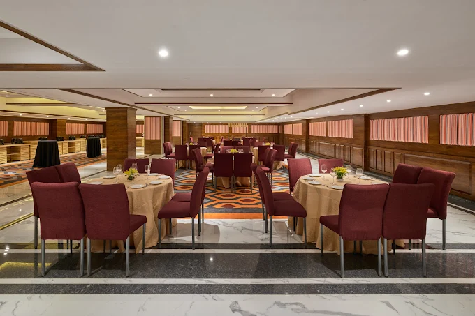 Zone by The Park (Testing)